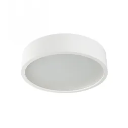 Потолочный светодиодный светильник Kanlux Jasmin 23126