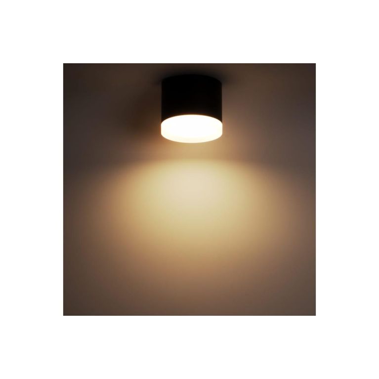 Накладной потолочный светильник Ritter Arton 59947 0