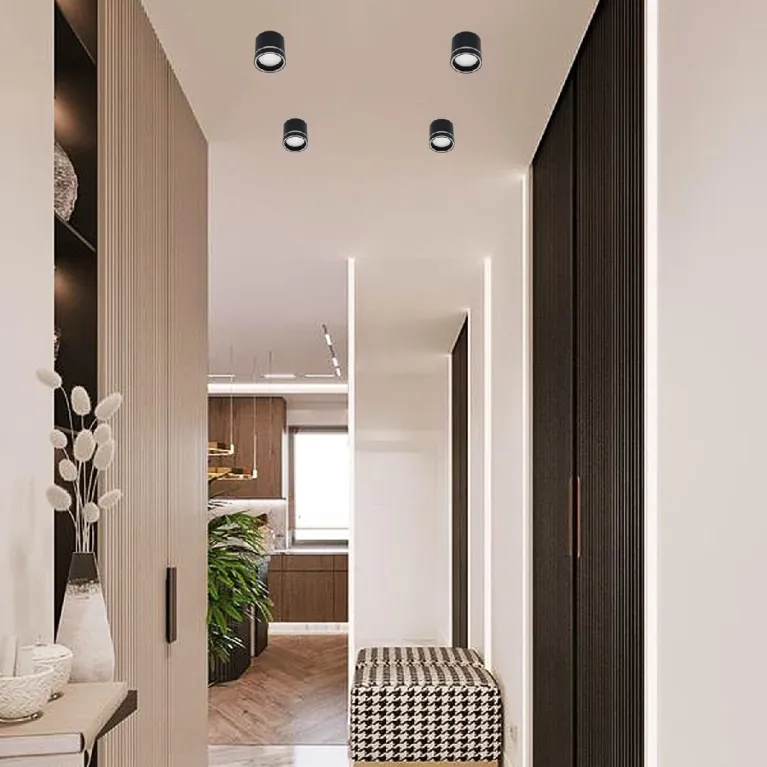 Накладной светильник Reluce 53003-9.5-001LD GX53 BK