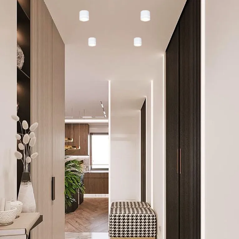 Накладной светильник Reluce 53003-9.5-001LD GX53 WT