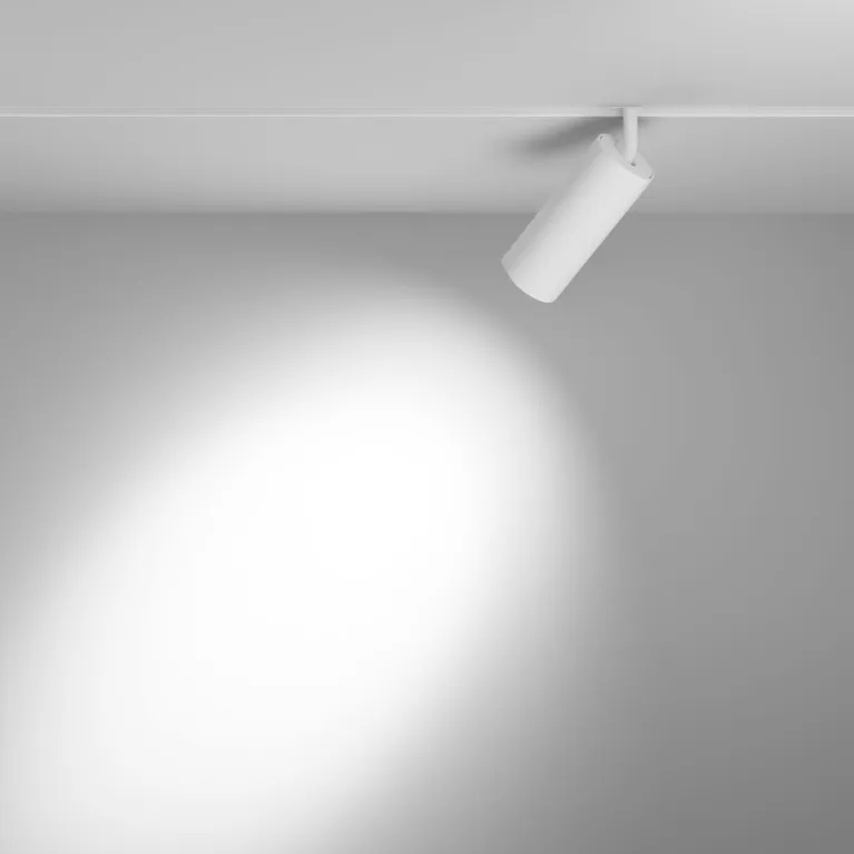 Трековый магнитный светильник Maytoni Focus LED TR032-4-20WTW-M-DD2-W