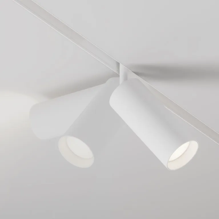 Трековый магнитный светильник Maytoni Focus LED TR032-4-20WTW-M-DD2-W
