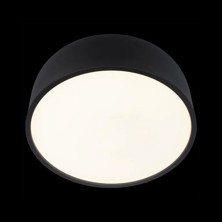 Потолочный светодиодный светильник Loft IT Axel 10201/350 Black