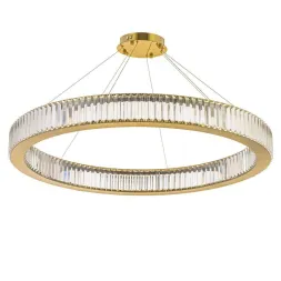 Подвесной светодиодный светильник Arti Lampadari Anzio L 1.5.100.100 G