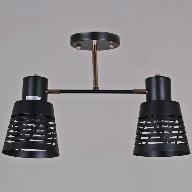 Потолочный светильник Reluce 06074-3.3-02 BK+FG
