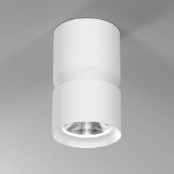 Потолочный светодиодный светильник Elektrostandard Kayo 25049/LED 12W 4000К белый a064730