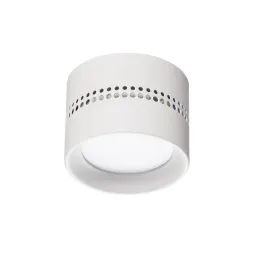 Потолочный светильник Odeon Light Real 6609/1C