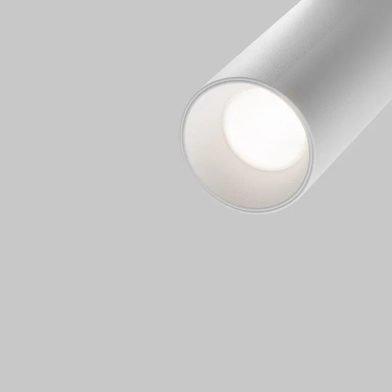 Трековый светодиодный светильник Maytoni Technical Exility Focus LED TR032-4-5W3K-S-DS-W