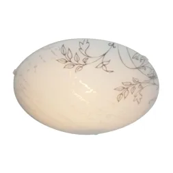 Настенно-потолочный светильник Apeyron 16-183