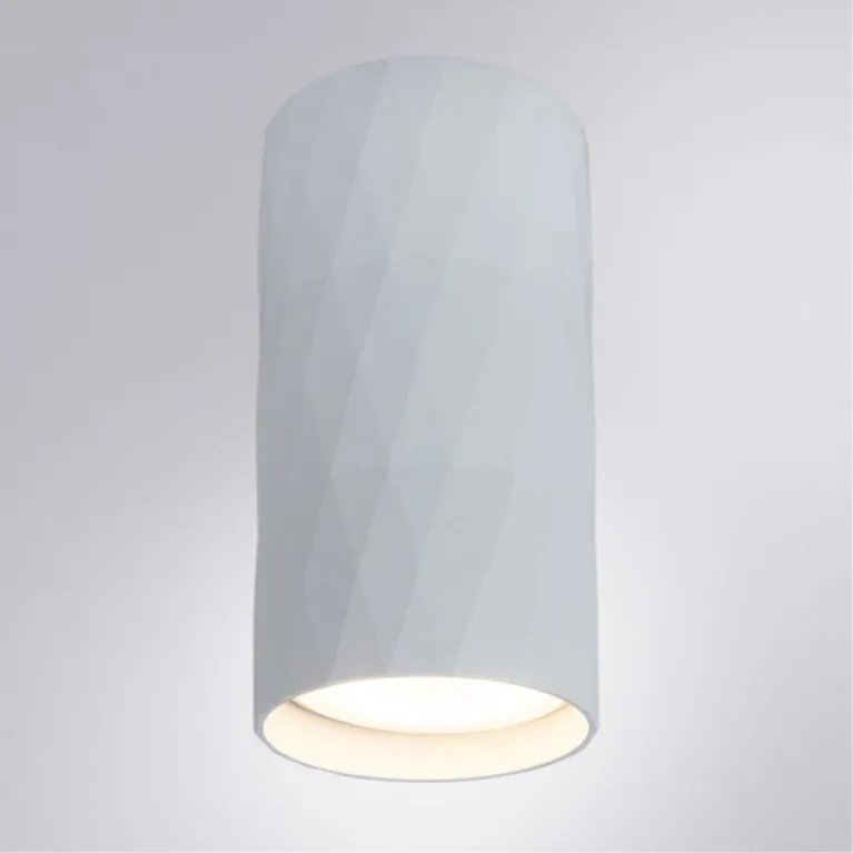 Потолочный светильник Arte Lamp Fang A5557PL-1WH