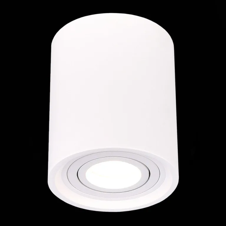 Потолочный светильник ST Luce ST156.502.01