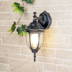 Уличный настенный светильник Elektrostandard 1002D черный 4690389076077