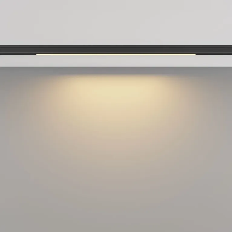 Трековый магнитный светильник Maytoni Basis TR190-1-5W2.7K-B