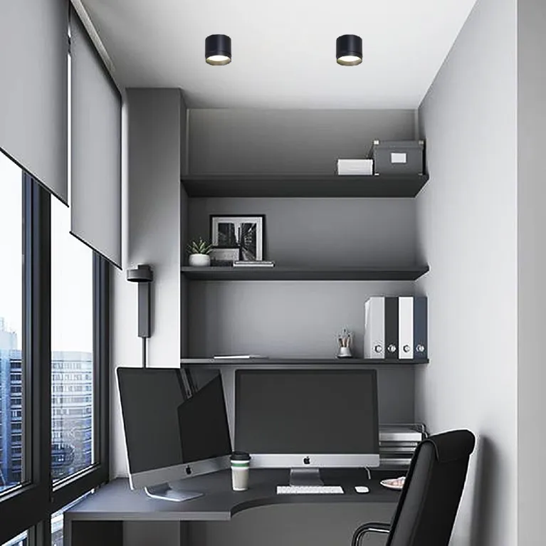 Накладной светильник Reluce 53007-9.5-001LD GX53 BK