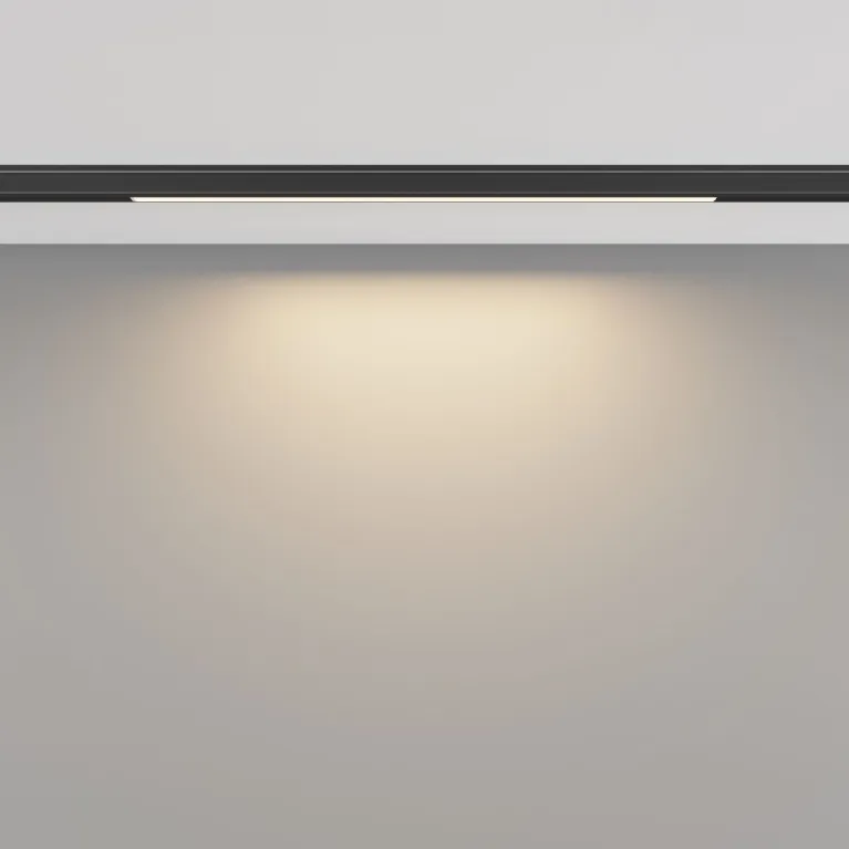 Трековый магнитный светильник Maytoni Basis TR190-1-5W3K-B