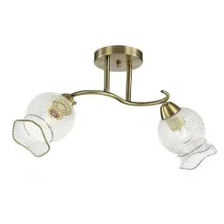 Потолочная люстра Lumion Rozetta 3109/2C