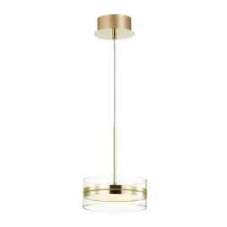 Подвесной светодиодный светильник Odeon Light Akela 4729/14L