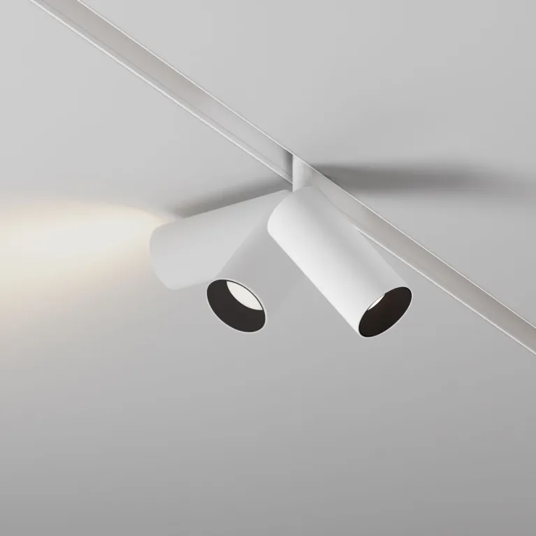 Трековый магнитный светильник Maytoni Focus LED TR032-4-5WTW-M-DSZ-W