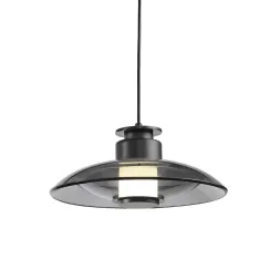 Подвесной светильник Delight Collection 8665P/S black/smoky