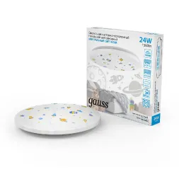 Потолочный светильник Gauss 941411224D