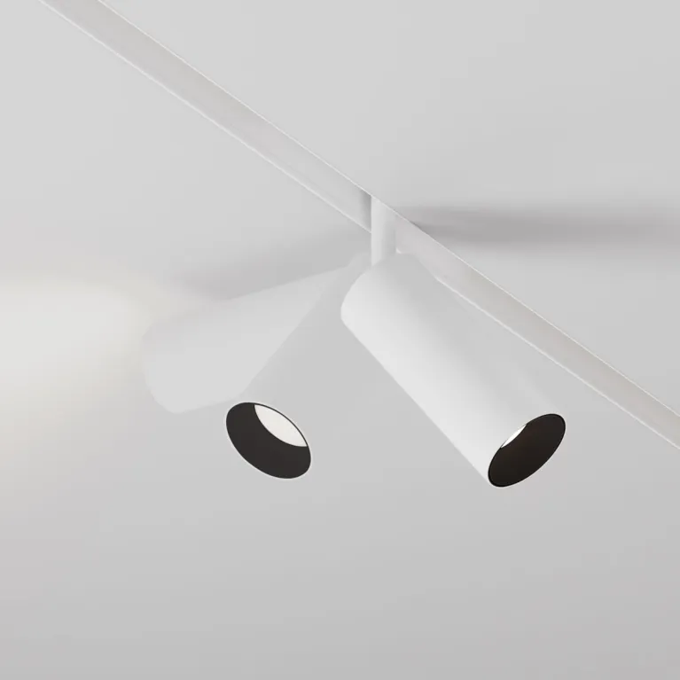 Трековый магнитный светильник Maytoni Focus LED TR032-4-12WTW-M-DSZ-W