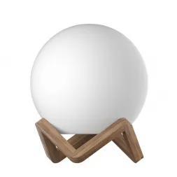 Напольно-настольный светильник m3light Wood 10722001