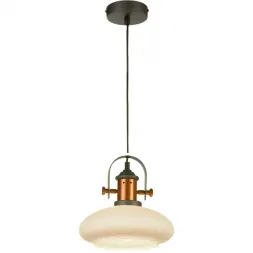 Подвесной светильник ST Luce Sotto SLD982.303.01