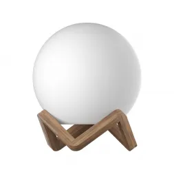 Напольно-настольный светильник m3light Wood 12722001