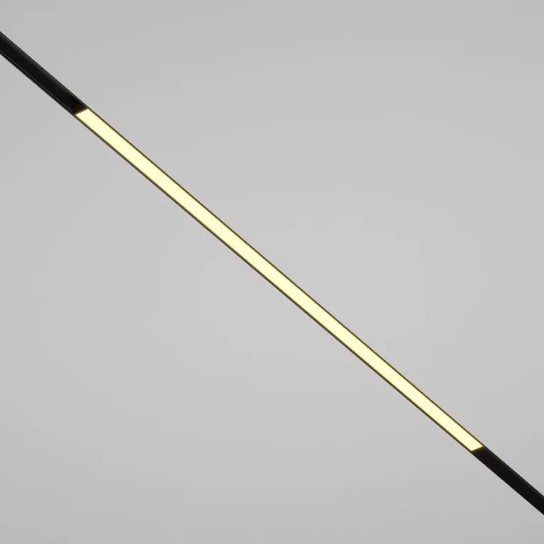 Трековый магнитный светильник Maytoni Basis TR030-2-30W2.7K-B