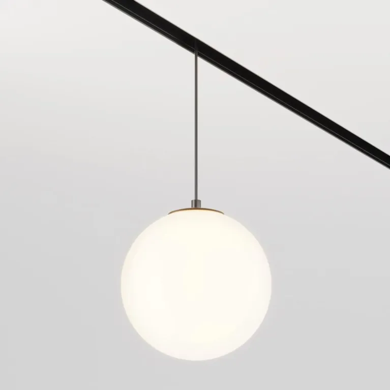 Трековый светодиодный светильник Maytoni Technical Luna TR039-2-5W3K