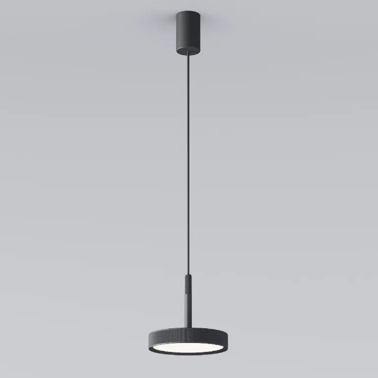 Подвесной светильник Elektrostandard Plate 4690389203350 50260 LED a065411