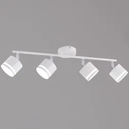 Спот Reluce 50540-0.3-04 GX53 WT+CR