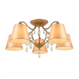 Потолочная люстра Evoluce Rimonio SL1135.102.05