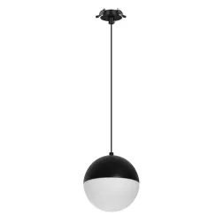 Подвесной светильник Arlight SP-EMISFERO-HANG-BUILT-R150-11W Day4000 (BK, 170 deg, 230V) 056591 Подвесной светильник Arlight SP-EMISFERO-HANG-BUILT-R150-11W Day4000 (BK, 170 deg, 230V) 056591