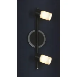 Спот Lussole Siliqua LSQ-6101-02